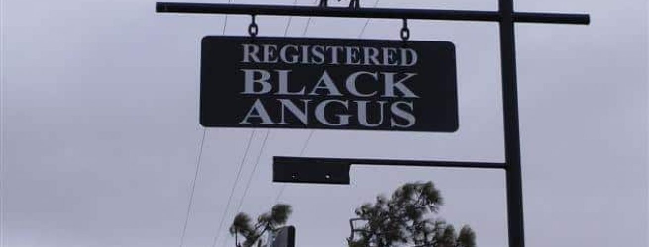 Black Angus Sign Board