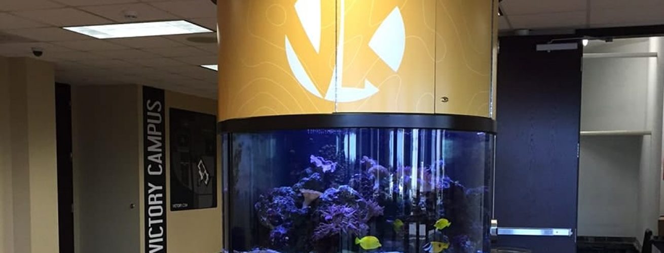 Victory Campus Christian Fish Tank Wrap